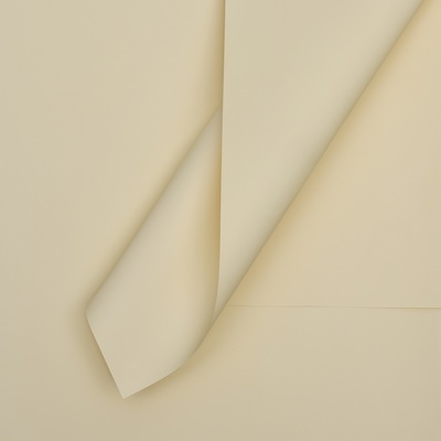 Пленка для цветов тонированная, матовая, шампань, 57×57 см ±5% см, 65 мкм