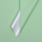 Пленка для цветов тонированная, матовая, светло-зелёная, 56х 56 см, 65 мкм - фото 319682685
