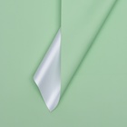 Пленка для цветов тонированная, матовая, светло - зелёная, 57×57 см ±5% см, 65 мкм - Фото 1