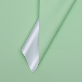 Пленка для цветов тонированная, матовая, светло-зелёная, 56 х 56 см, 65 мкм