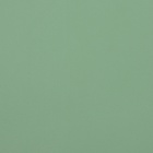 Пленка для цветов тонированная, матовая, светло - зелёная, 57×57 см ±5% см, 65 мкм - Фото 3