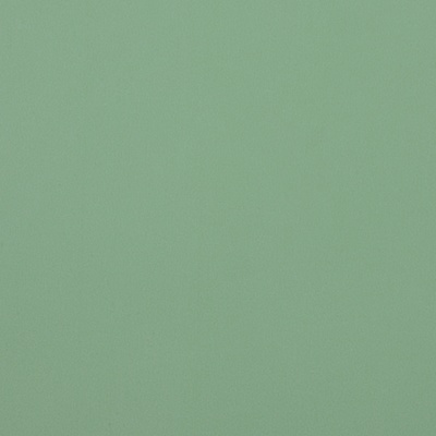 Пленка для цветов тонированная, матовая, светло - зелёная, 57×57 см ±5% см, 65 мкм
