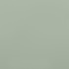 Пленка для цветов, матовая, матча, 55 мкм, 57x57см ±5% см 9395974