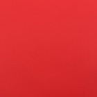 Пленка для цветов, матовая, алый, 57×57 см, 55 мкм - Фото 3