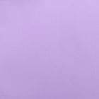 Пленка для цветов, матовая, сиреневая, 55 мкм, 57×57 см ±5% см - Фото 3