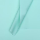 Пленка для цветов, матовая, тиффани, 57×57 см, 55 мкм - Фото 1