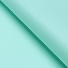 Пленка для цветов, матовая, тиффани, 57×57 см, 55 мкм - Фото 2