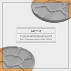 Набор менажниц деревянных Adelica, 6 секций, 2 секции, подставка для посуды, масло в подарок, берёза - Фото 4