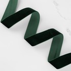 Лента бархатная, 25 мм, 18 ± 1 м, цвет зелёный №165 - Фото 2