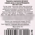 Леденец на палочке «Новогодняя сказка», вкус: мандарин, 15 г. 9771722 - фото 13340857