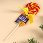 Леденец на палочке «Новогодняя сказка», вкус: мандарин, 15 г - Фото 3