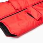 Куртка демисезонная детская, цвет красный, рост 92-98 см - Фото 10