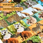 Настольная игра «Бродилка. Путешествие по джунглям», 2 в 1, 3+ - Фото 7