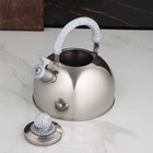 Чайник со свистком из нержавеющей стали Доляна «Мрамор», 3 л, фиксированная ручка, цвет хромированный - Фото 6