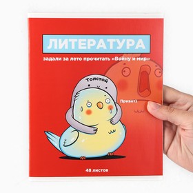 

Набор тетрадей А5, 48 л "Персонажи" русский язык, литература, английский