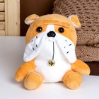 Мягкая игрушка "Собака", 18 см, цвет МИКС - фото 319924533