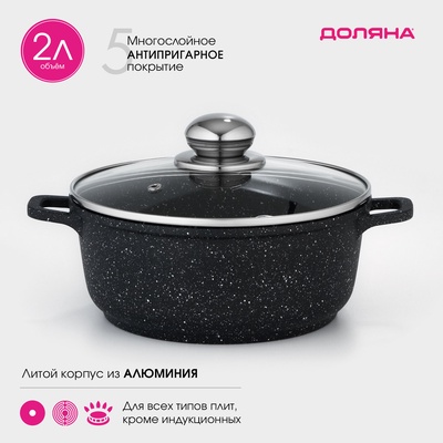 Кастрюля Доляна «Элит», 2 л, d=20 см, h=9 см, литые ручки, антипригарное покрытие, литой алюминий, чёрная