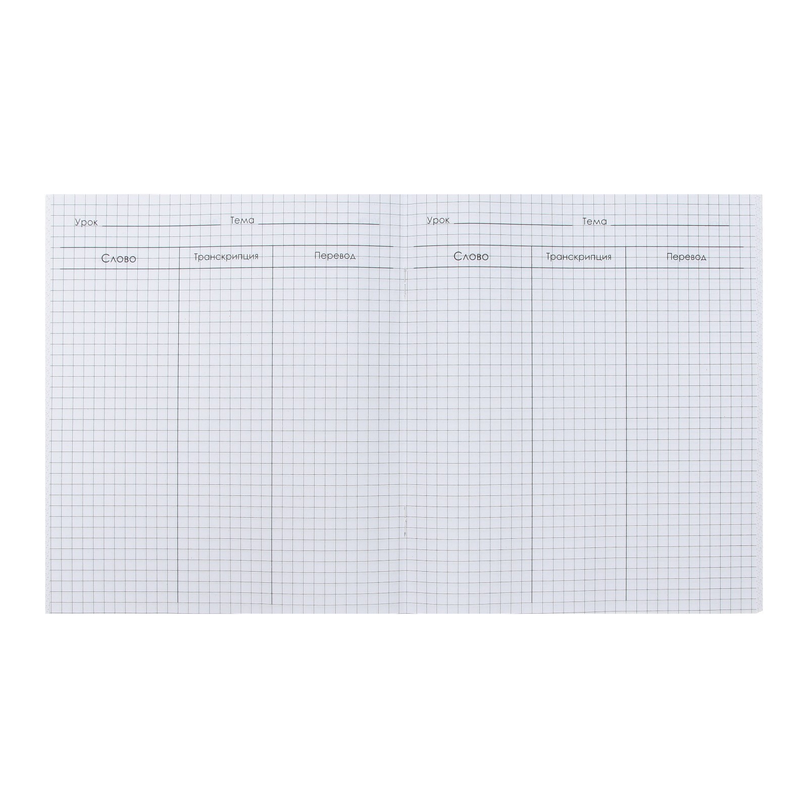 Тетрадь-словарик для записи иностранных слов 48л кл Calligrata, оригин ...