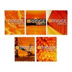 Тетрадь 96 листов в клетку "Оранжевый мир!", обложка мелованный картон, блок 65г/м2, МИКС - фото 298623044