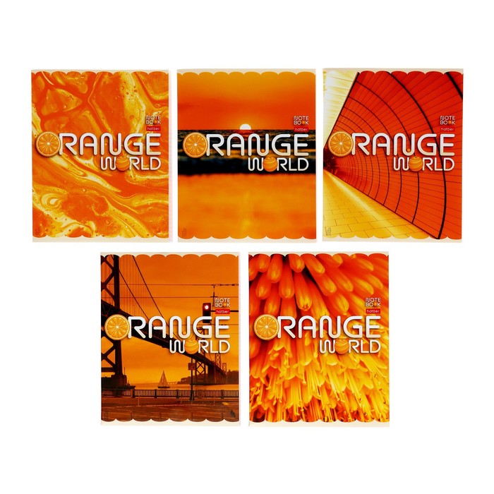 Тетрадь 96 листов в клетку "Оранжевый мир!", обложка мелованный картон, блок 65г/м2, МИКС - Фото 1