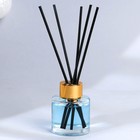 Диффузор ароматический палочки новогодний «Уютных вечеров», на Новый год, аромат апельсин, 50 мл - Фото 3