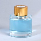 Диффузор ароматический палочки новогодний «Уютных вечеров», на Новый год, аромат апельсин, 50 мл - Фото 4