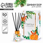 Диффузор ароматический палочки «Новогодняя коллекция: Сказочных моментов», аромат апельсин, 50 мл - Фото 1