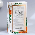 Диффузор ароматический палочки «Новогодняя коллекция: Сказочных моментов», аромат апельсин, 50 мл - Фото 9