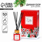 Диффузор ароматический палочки «Новогодняя коллекция: Тепла и уюта», аромат яблоко, 50 мл. - Фото 1