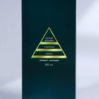 Диффузор ароматический палочки «Новогодняя коллекция: Все мечты сбудутся», аромат жасмин, 50 мл - Фото 10