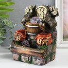 Фонтан настольный с подсветкой «Два слона с китайской монетой», 12×15×21 см - Фото 3