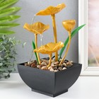 Фонтан настольный «Золотые лотосы в пруду», от сети, 13×15×24.5 см - Фото 3