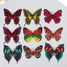 Магнит пластик "Бабочка двойные крылья" под текстиль блеск МИКС 8,5х12 см - фото 319684148