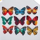 Магнит пластик "Бабочка двойные крылья" под текстиль блеск МИКС 8,5х12 см - Фото 2