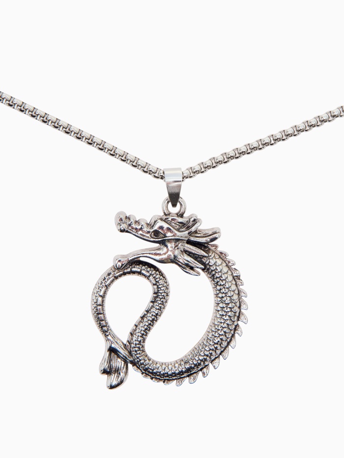 Кулон на цепочке «Дракон», хищник, цвет чернёное серебро, 70 см - Фото 1