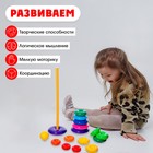 Пирамидка детская, 15 колец, с шаром - Фото 4