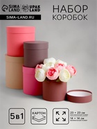 Набор шляпных подарочных коробок 5 в 1« Кофейный», 23×23 - 14×14 см - Фото 1