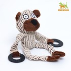 Игрушка текстильная с резиновыми кольцам "Медведь", 26 х 10 см - Фото 1