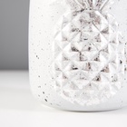 Настольная лампа RISALUX «Ананас», Е14, 40 Вт, серый/серебро, 20×20×32 см - Фото 6