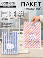 Пакет подарочный Zip-lock, «Корейский стиль», 15.5×22+3.5 см МИКС - Фото 1