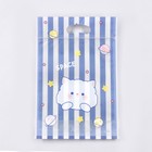 Пакет подарочный Zip-lock, «Корейский стиль», 15.5×22+3.5 см МИКС - Фото 4