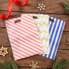 Пакет подарочный Zip-lock, «Корейский стиль», 15.5×22+3.5 см МИКС - Фото 7