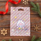 Пакет подарочный Zip-lock, «Корейский стиль», 15.5×22+3.5 см МИКС - Фото 8