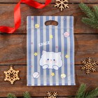 Пакет подарочный Zip-lock, «Корейский стиль», 15.5×22+3.5 см МИКС - Фото 9