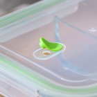 Контейнер стеклянный с разделителем и пластиковой крышкой, 1 л - фото 22745692