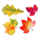 Набор украшений на скотче «Листья деревьев» глиттер, 10 шт. 9904918