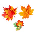 Набор украшений на скотче «Листья деревьев» глиттер, 10 шт. 9904918