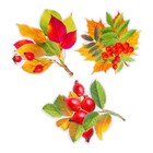 Набор украшений на скотче «Листья деревьев» глиттер, 10 шт. 9904918