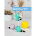 Доска Бильгоу «Успех» для мозжечковой стимуляции, комплект 10 предметов - Фото 23