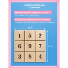 Балансборд «Доска Бильгоу», комплект 12 предметов, для мозжечковой стимуляции - Фото 17